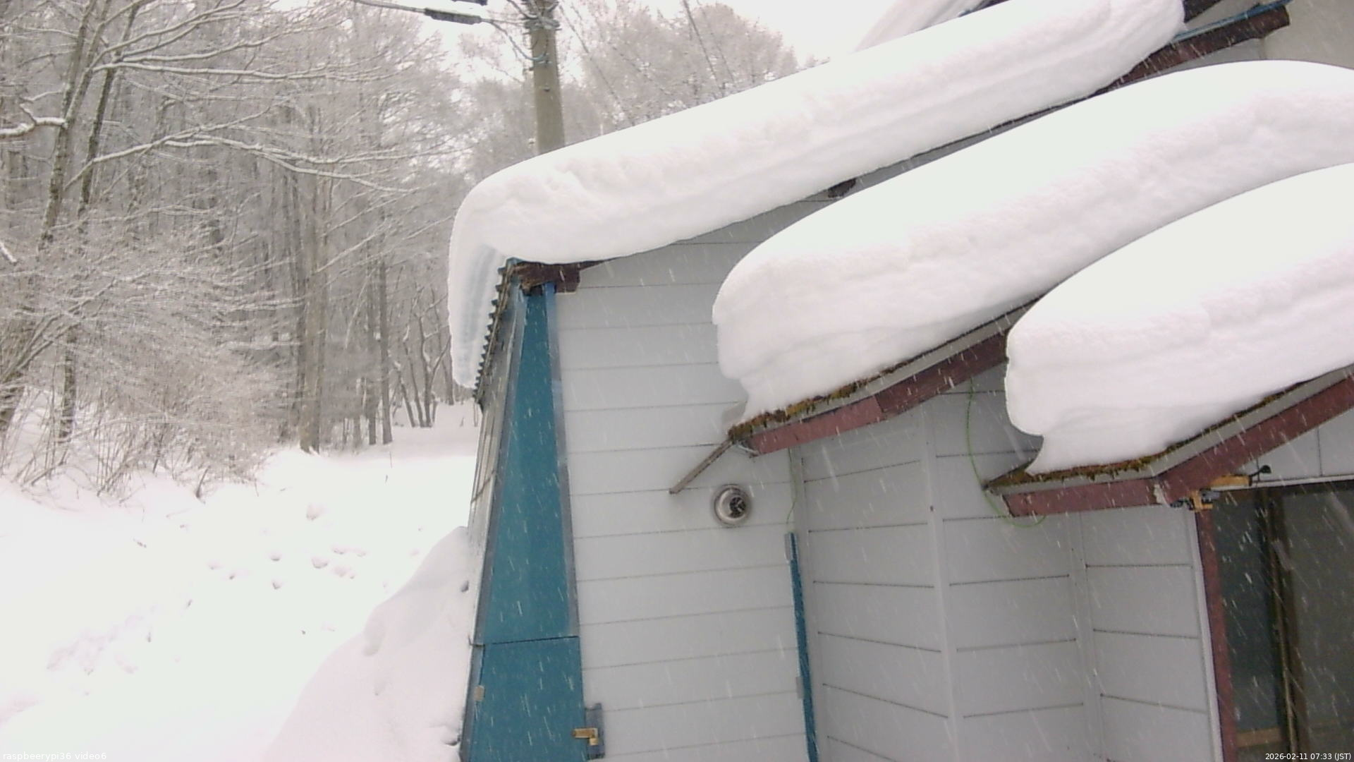 長野県菅平高原 ゆたか山荘 坂下 2026/02/11 07:30