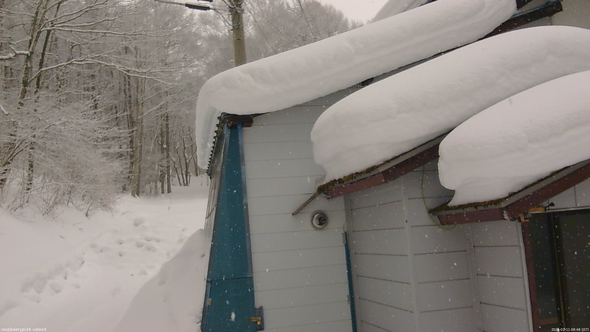 長野県菅平高原 ゆたか山荘 坂下 2026/02/11 08:45