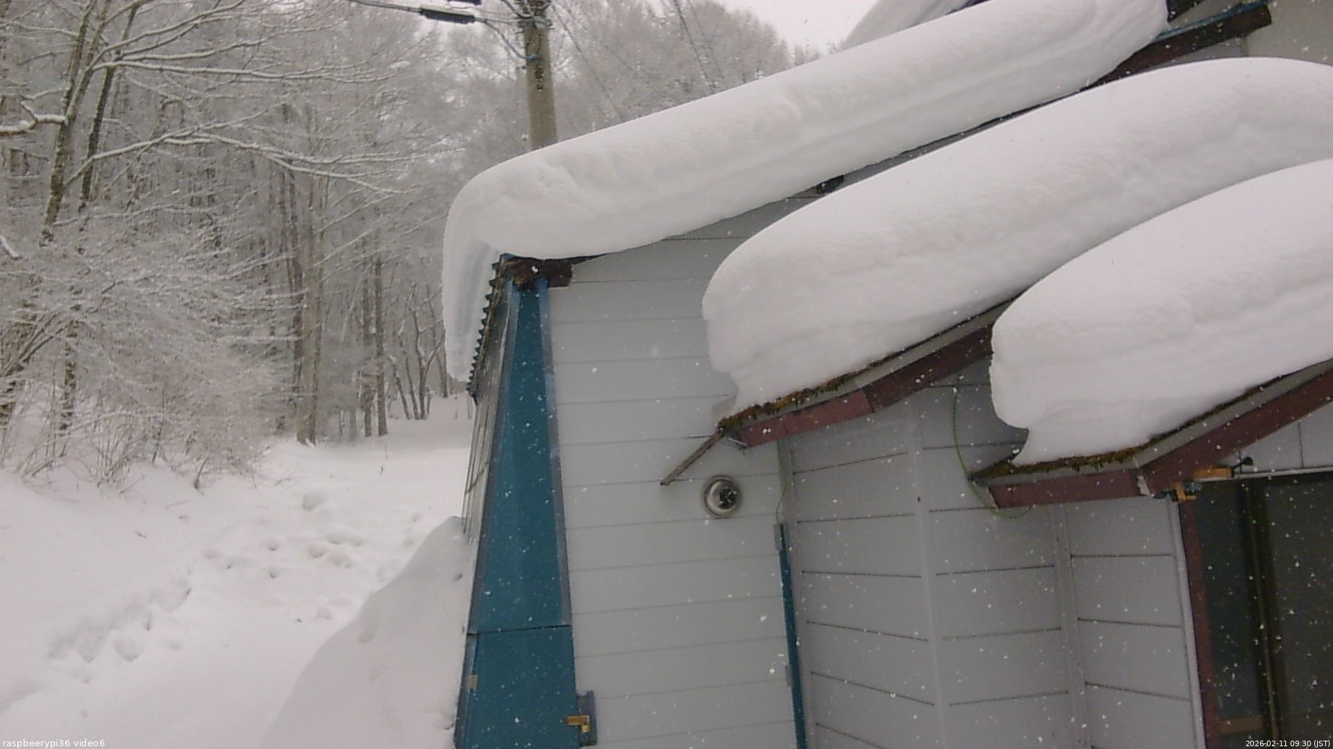長野県菅平高原 ゆたか山荘 坂下 2026/02/11 09:30