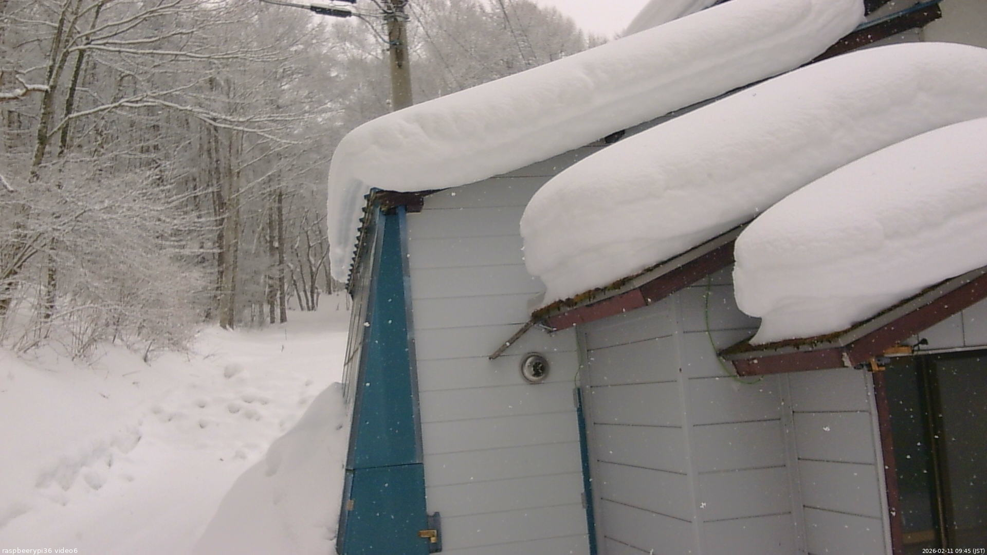 長野県菅平高原 ゆたか山荘 坂下 2026/02/11 09:45