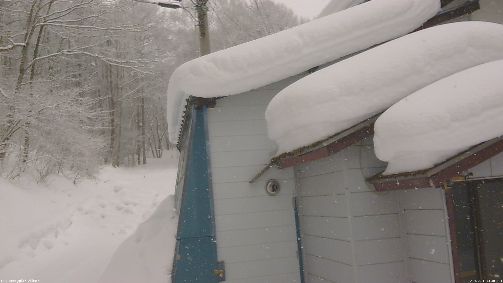 長野県菅平高原 ゆたか山荘 坂下 2026/02/11 11:30