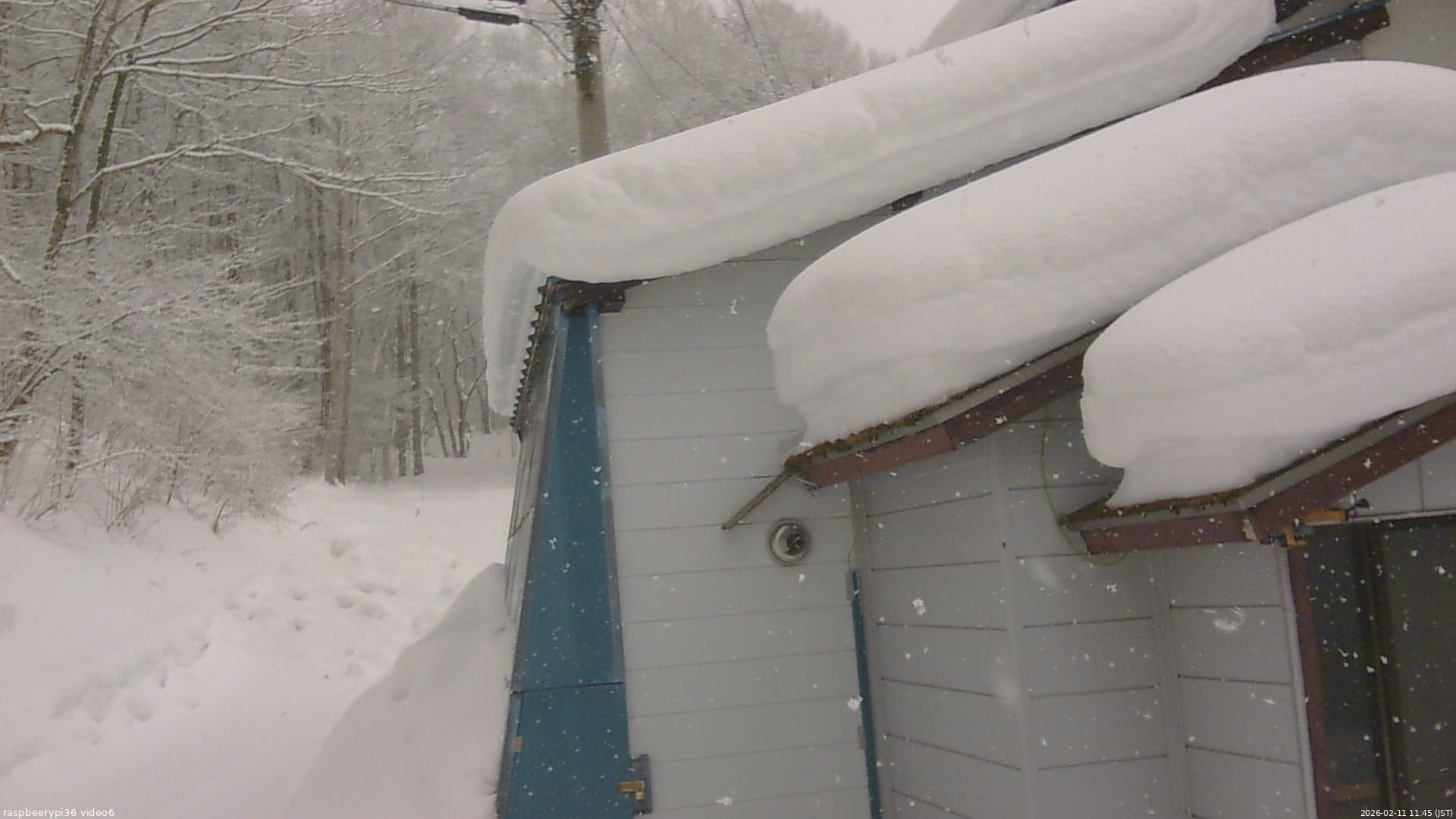 長野県菅平高原 ゆたか山荘 坂下 2026/02/11 11:45