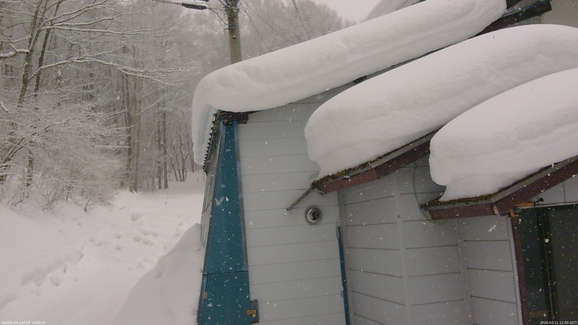 長野県菅平高原 ゆたか山荘 坂下 2026/02/11 12:00