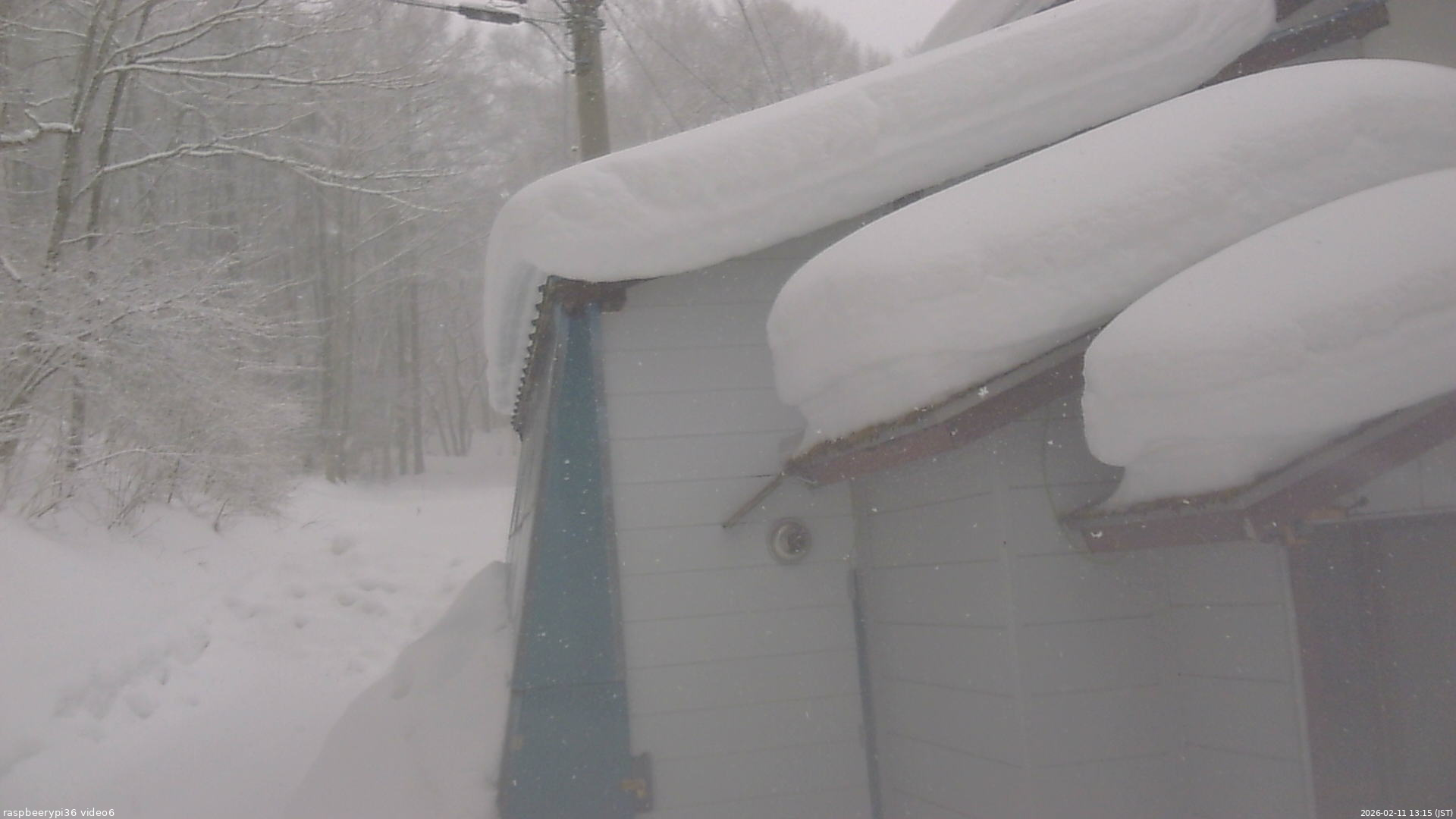 長野県菅平高原 ゆたか山荘 坂下 2026/02/11 13:15