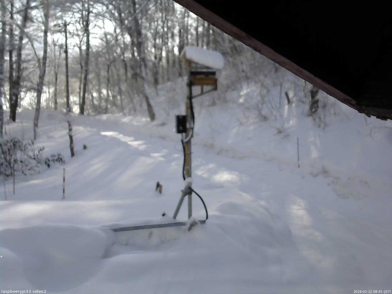 長野県菅平高原 ゆたか山荘 南側 2026/02/12 08:45