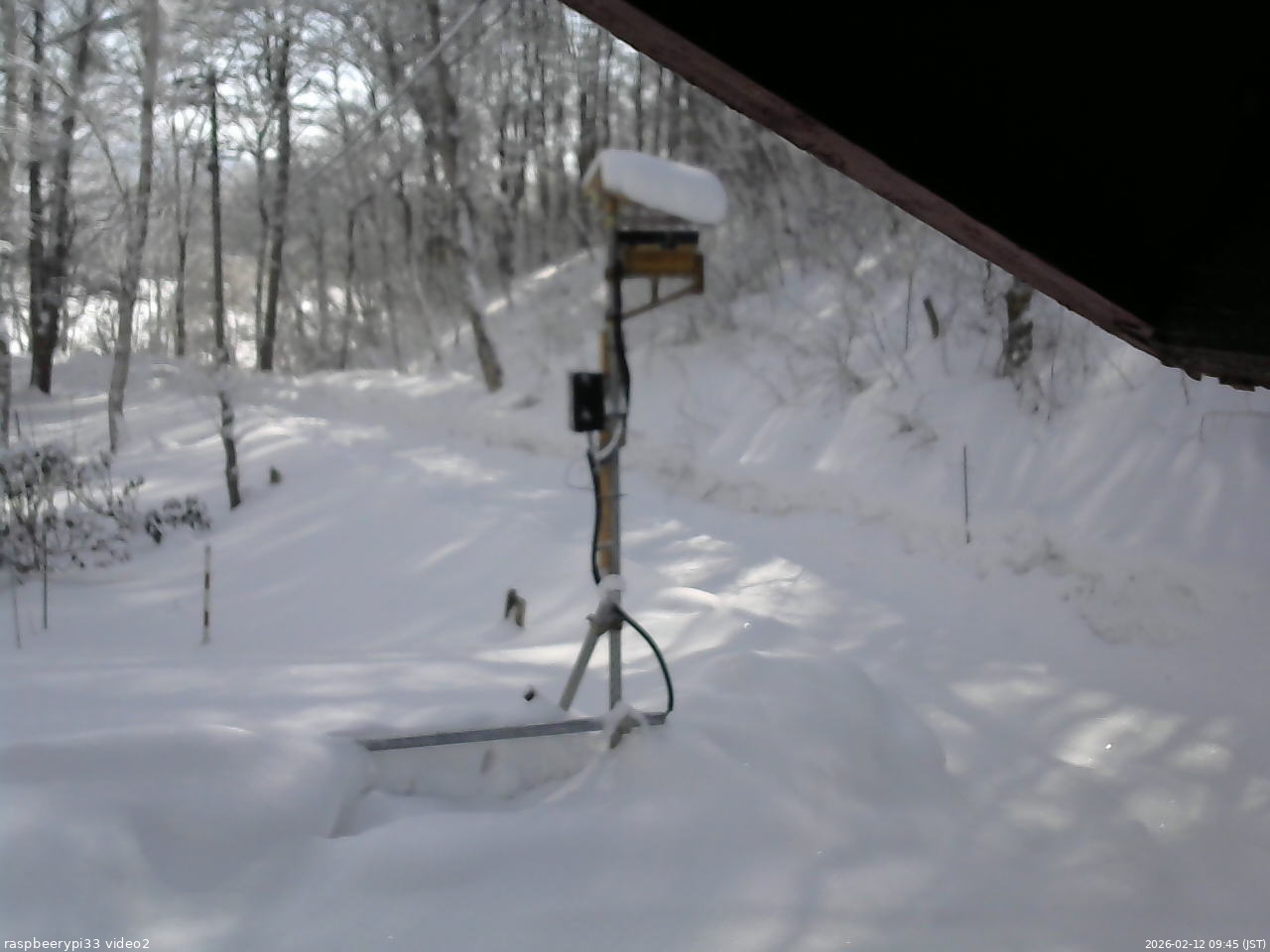 長野県菅平高原 ゆたか山荘 南側 2026/02/12 09:45