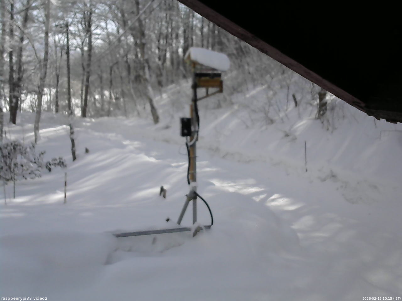 長野県菅平高原 ゆたか山荘 南側 2026/02/12 10:15