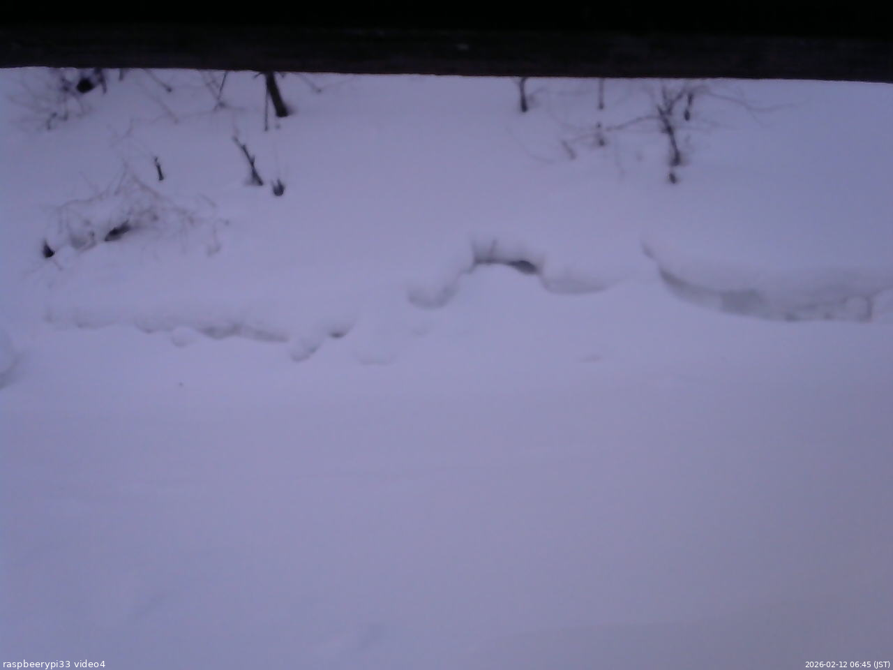 長野県菅平高原 ゆたか山荘 東側(坂下) 2026/02/12 06:45