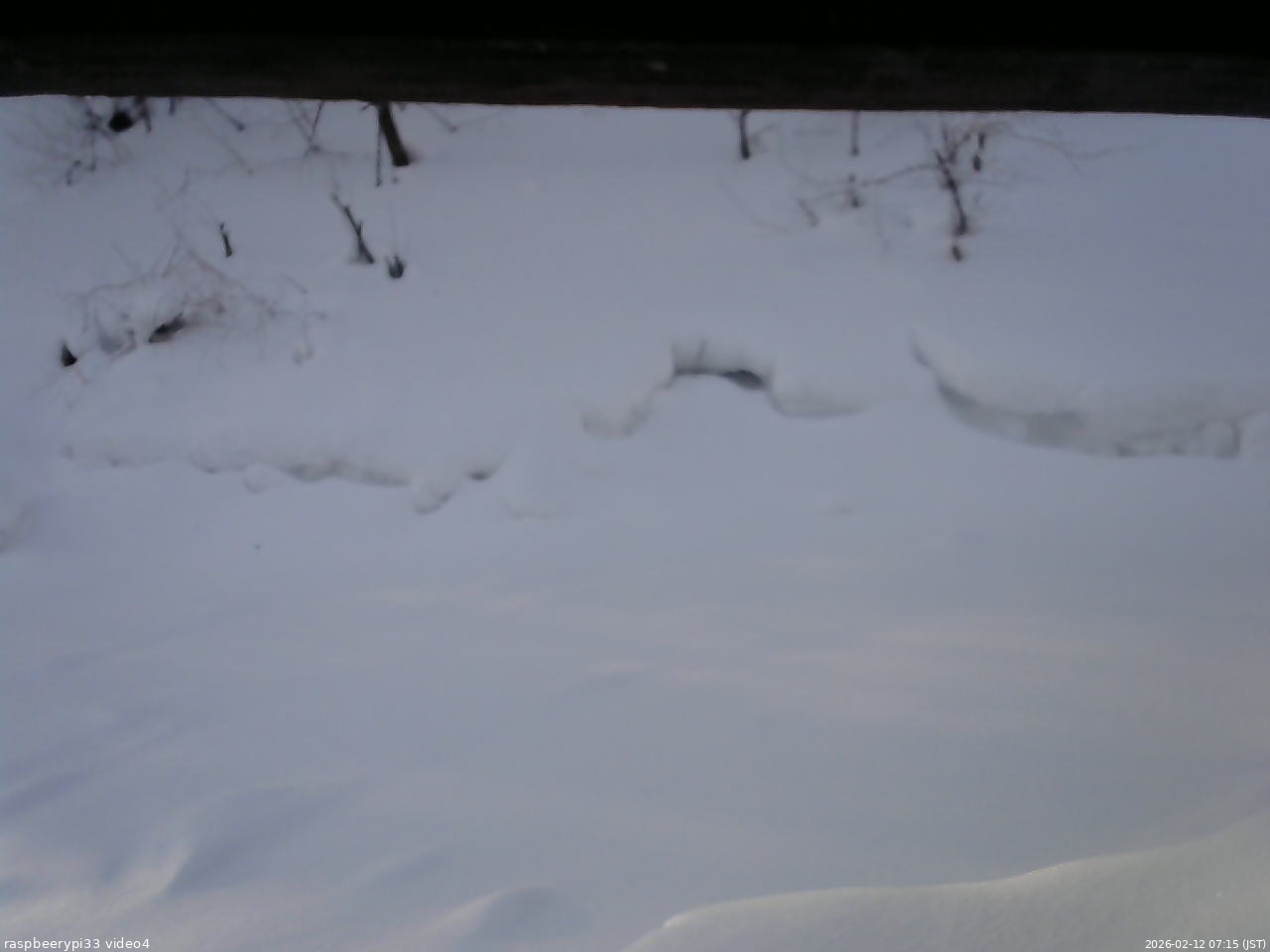 長野県菅平高原 ゆたか山荘 東側(坂下) 2026/02/12 07:15