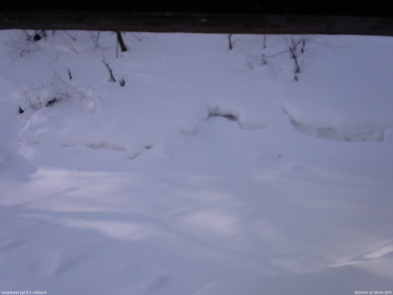 長野県菅平高原 ゆたか山荘 東側(坂下) 2026/02/12 08:30