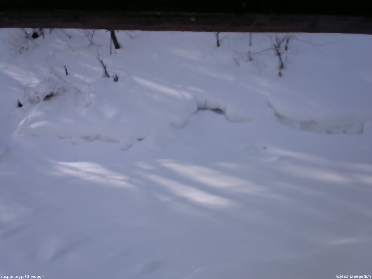長野県菅平高原 ゆたか山荘 東側(坂下) 2026/02/12 09:00