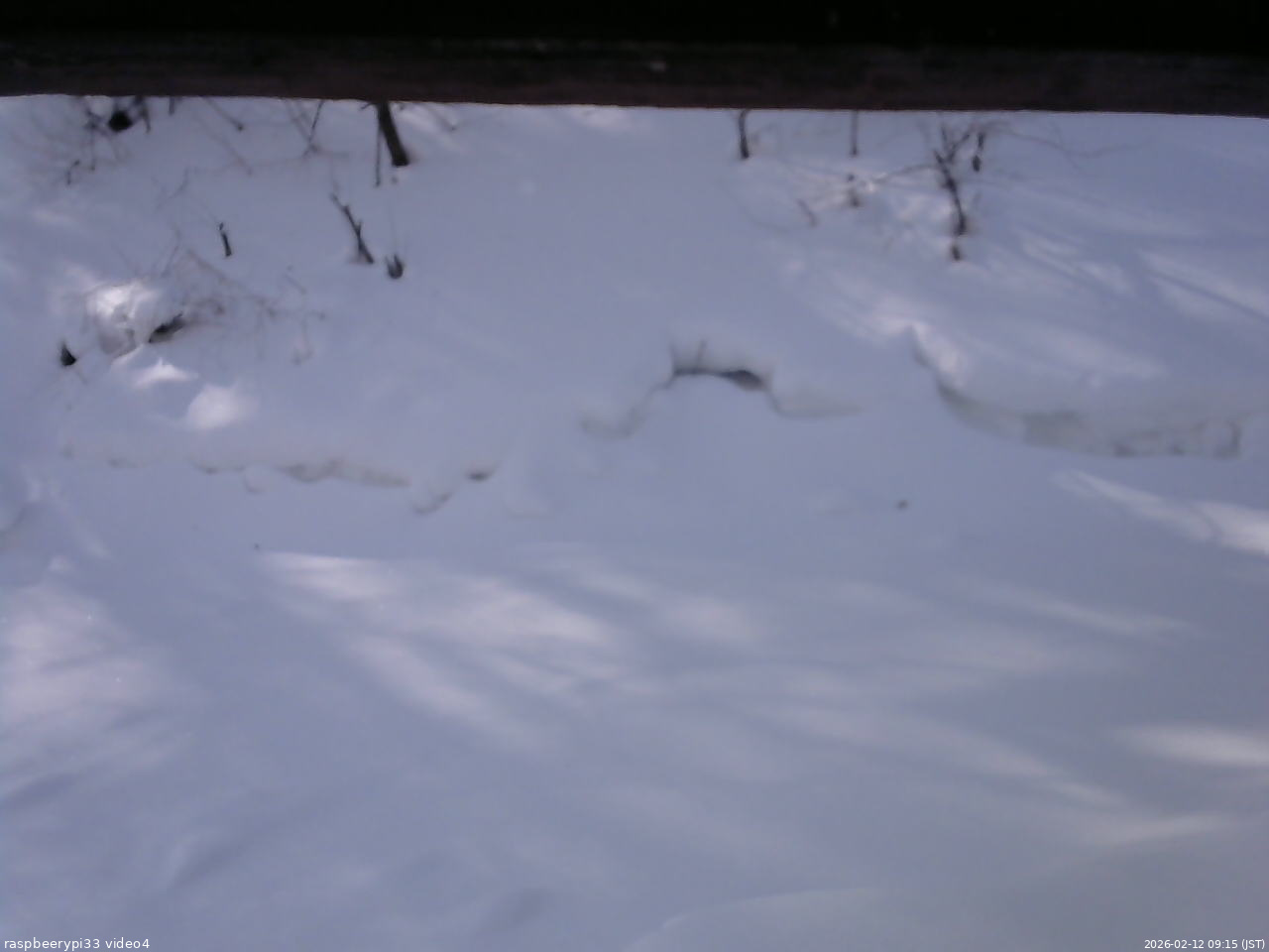 長野県菅平高原 ゆたか山荘 東側(坂下) 2026/02/12 09:15