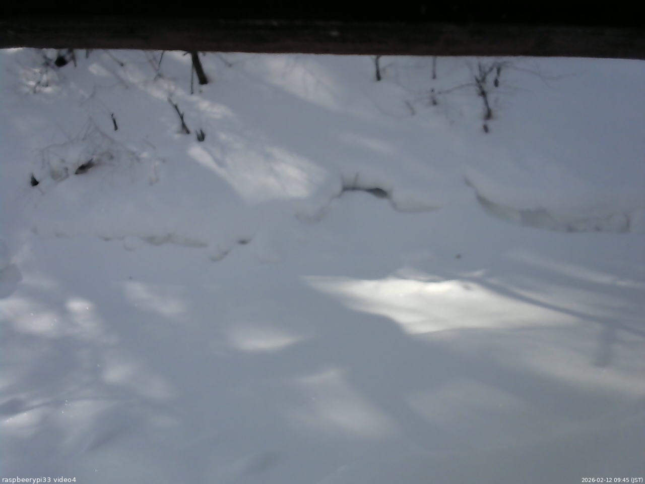 長野県菅平高原 ゆたか山荘 東側(坂下) 2026/02/12 09:45