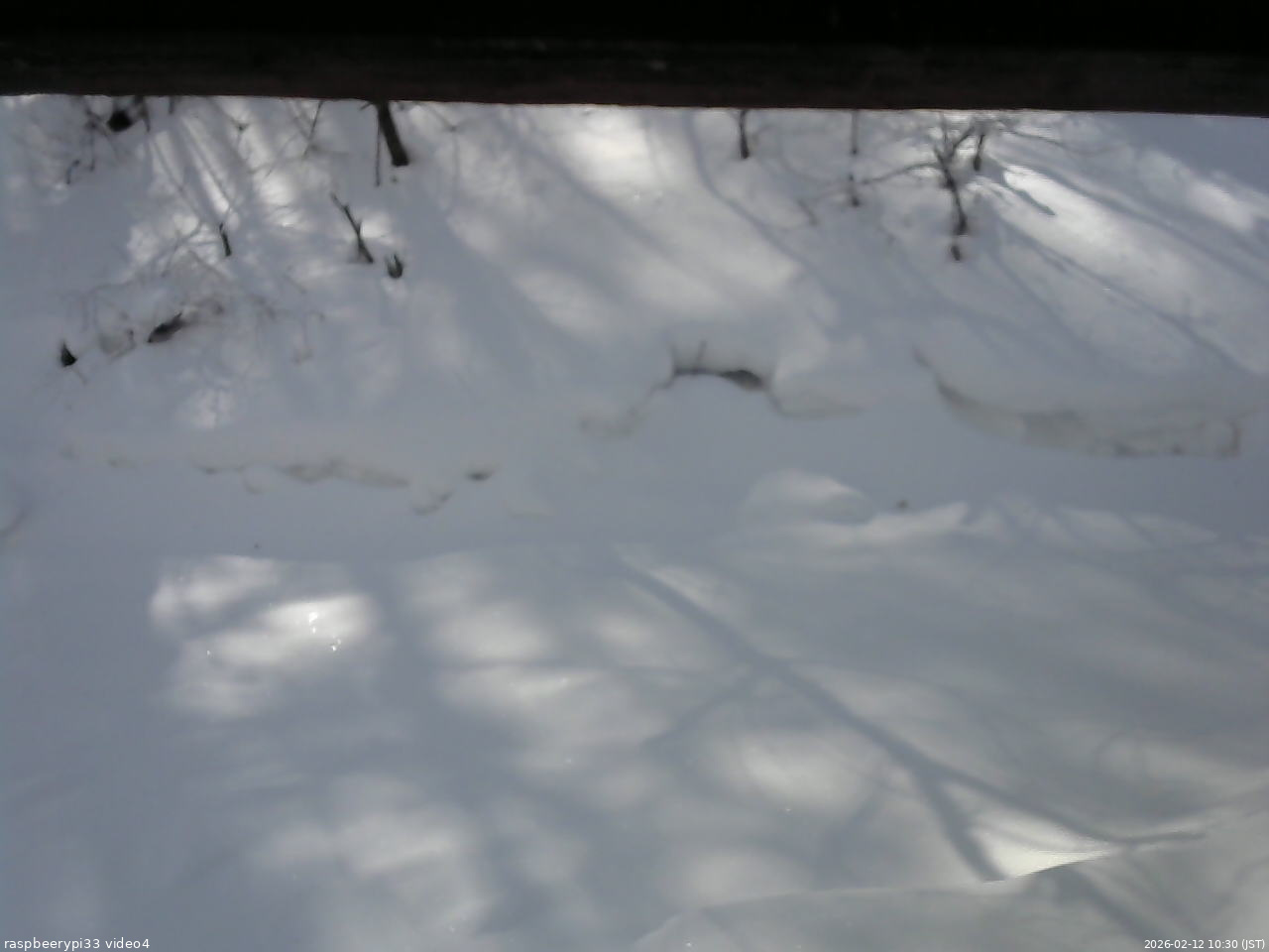 長野県菅平高原 ゆたか山荘 東側(坂下) 2026/02/12 10:30