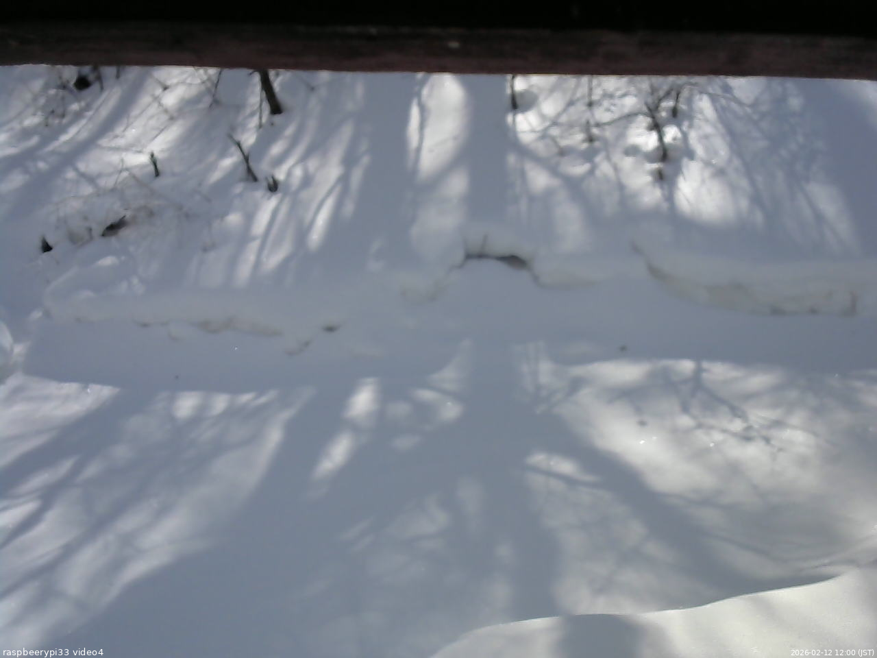 長野県菅平高原 ゆたか山荘 東側(坂下) 2026/02/12 12:00