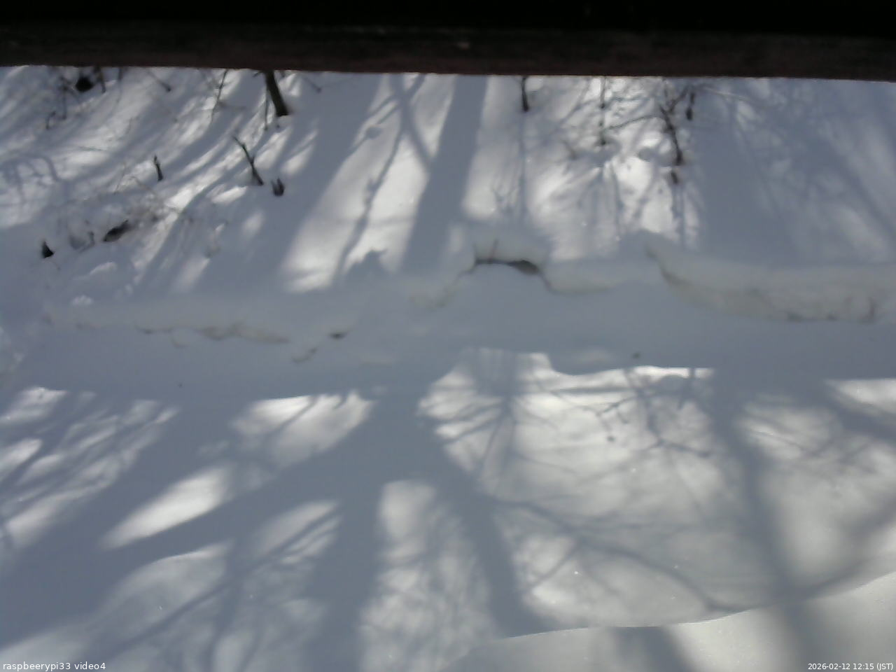 長野県菅平高原 ゆたか山荘 東側(坂下) 2026/02/12 12:15