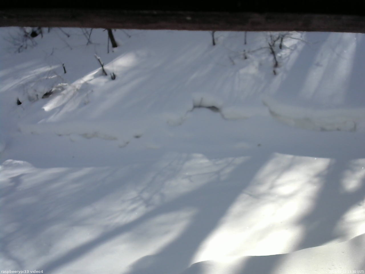 長野県菅平高原 ゆたか山荘 東側(坂下) 2026/02/12 13:30