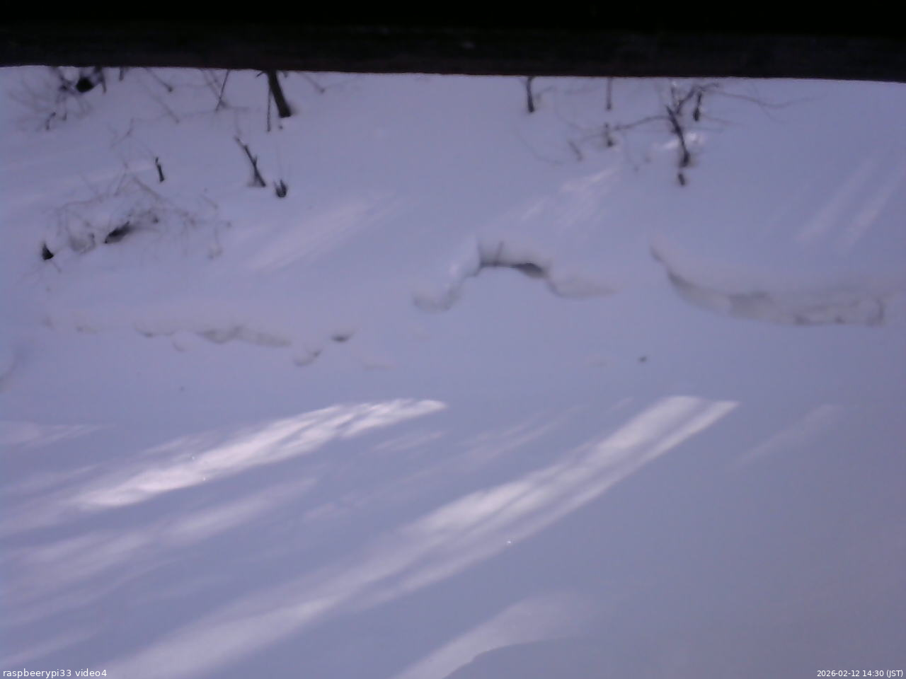 長野県菅平高原 ゆたか山荘 東側(坂下) 2026/02/12 14:30