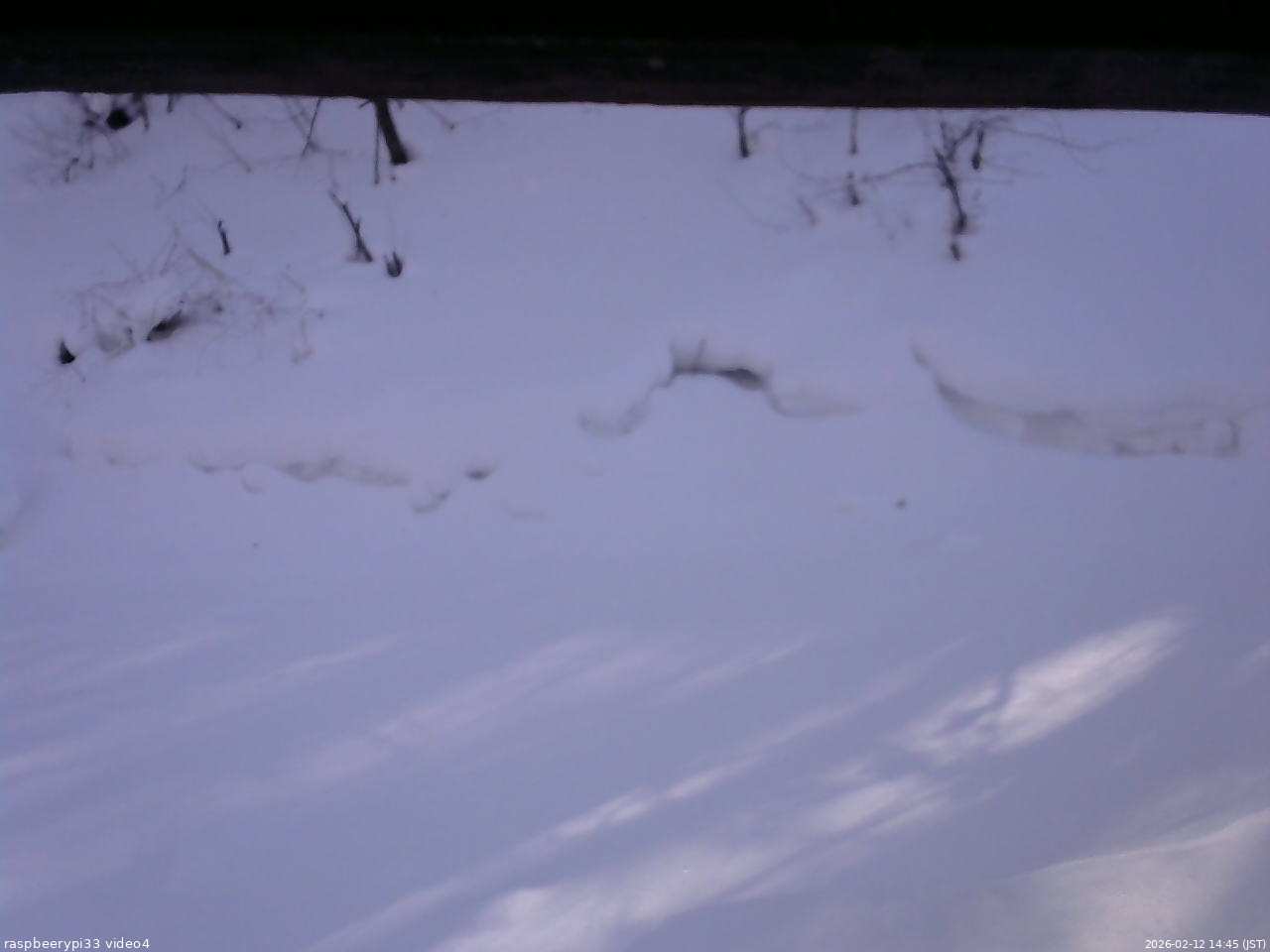 長野県菅平高原 ゆたか山荘 東側(坂下) 2026/02/12 14:45