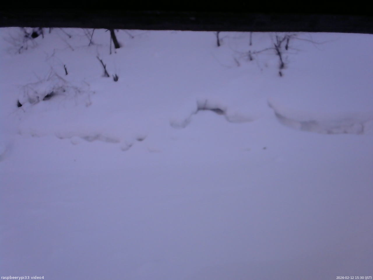 長野県菅平高原 ゆたか山荘 東側(坂下) 2026/02/12 15:30