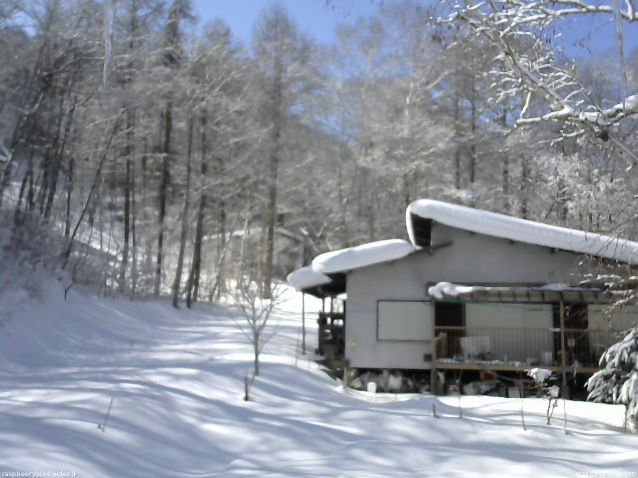 長野県菅平高原 ゆたか山荘 西側(坂上) 2026/02/12 12:45