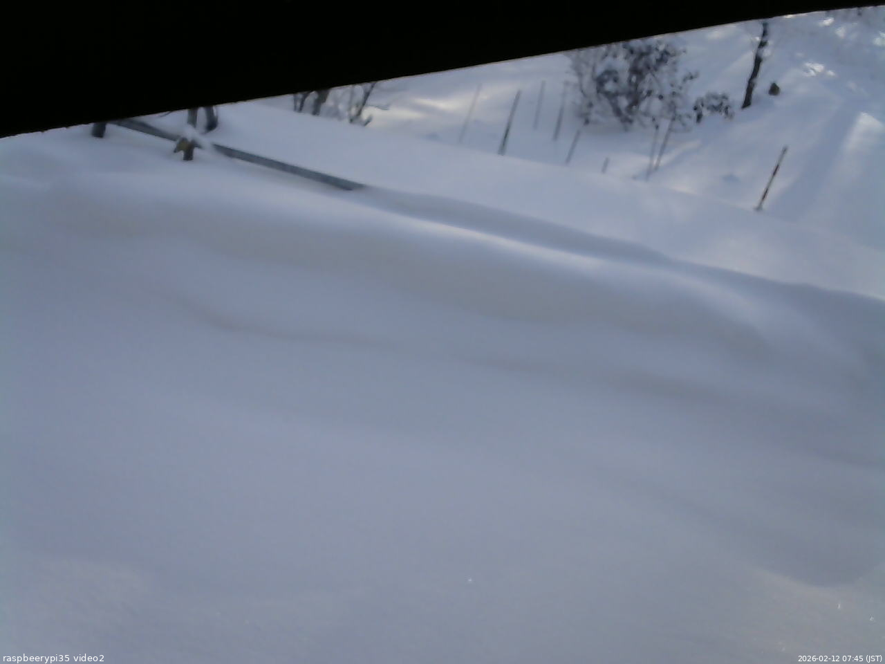 長野県菅平高原 ゆたか山荘 駐車場 2026/02/12 07:45