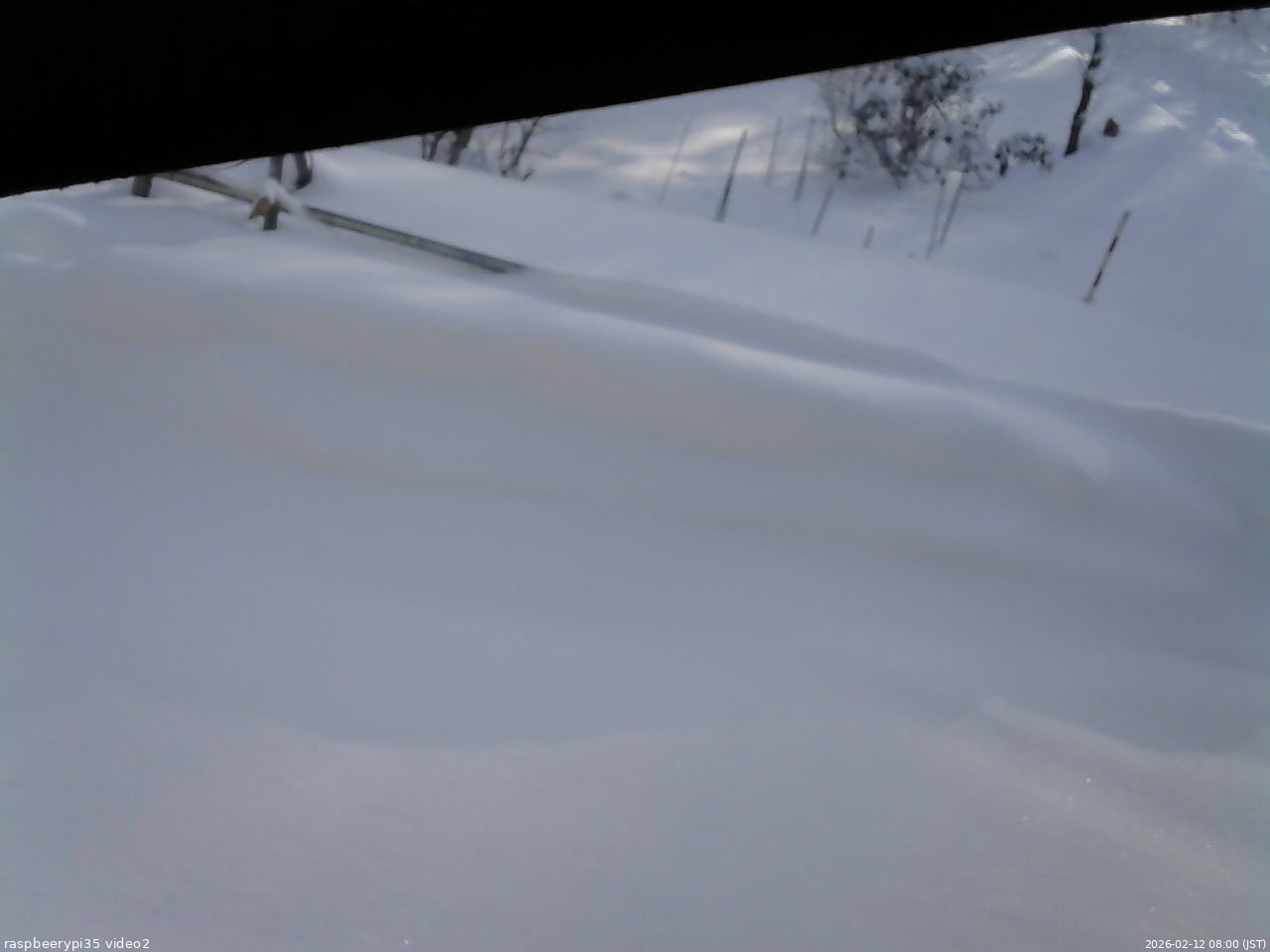 長野県菅平高原 ゆたか山荘 駐車場 2026/02/12 08:00