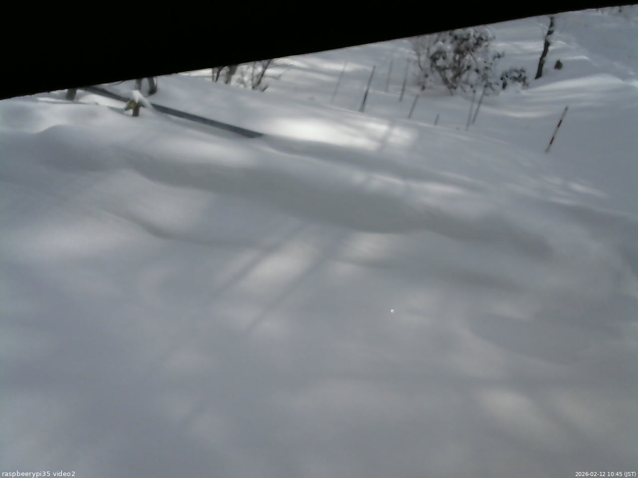 長野県菅平高原 ゆたか山荘 駐車場 2026/02/12 10:45