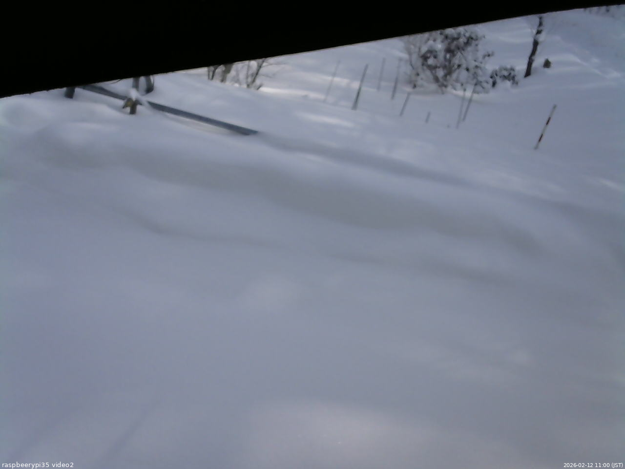 長野県菅平高原 ゆたか山荘 駐車場 2026/02/12 11:00
