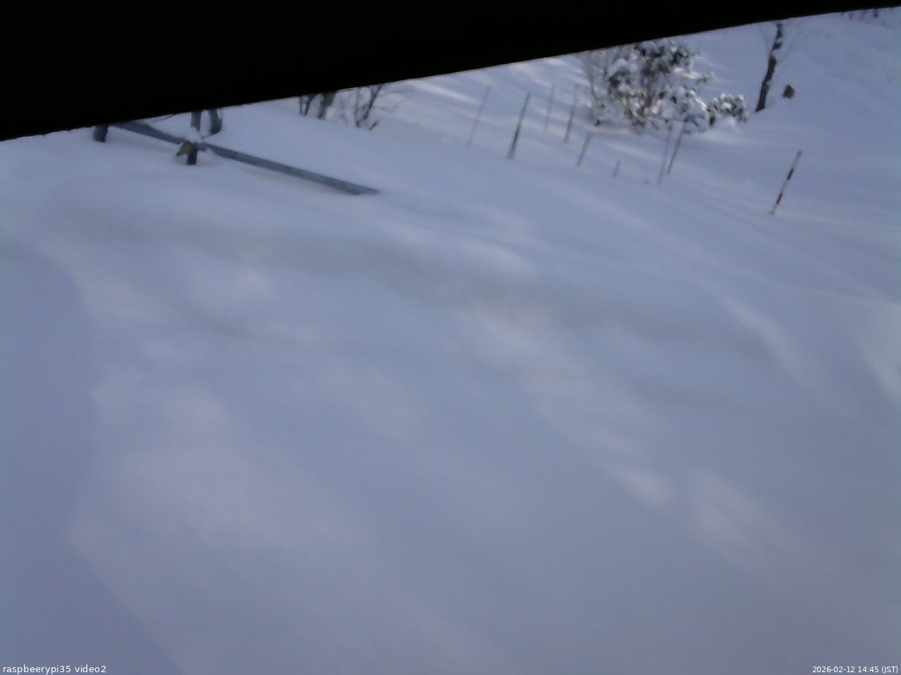 長野県菅平高原 ゆたか山荘 駐車場 2026/02/12 14:45