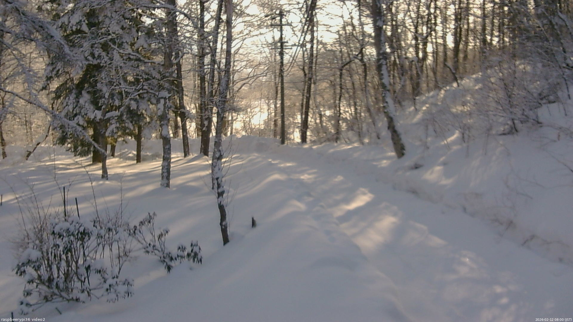 長野県菅平高原 ゆたか山荘 駐車場奥 2026/02/12 08:00