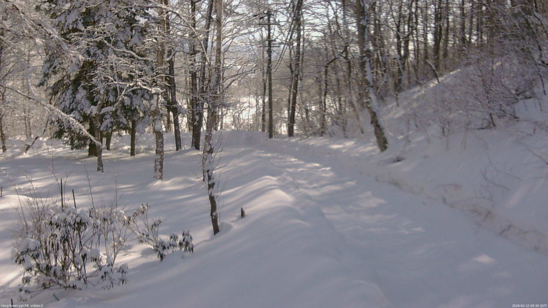 長野県菅平高原 ゆたか山荘 駐車場奥 2026/02/12 09:30