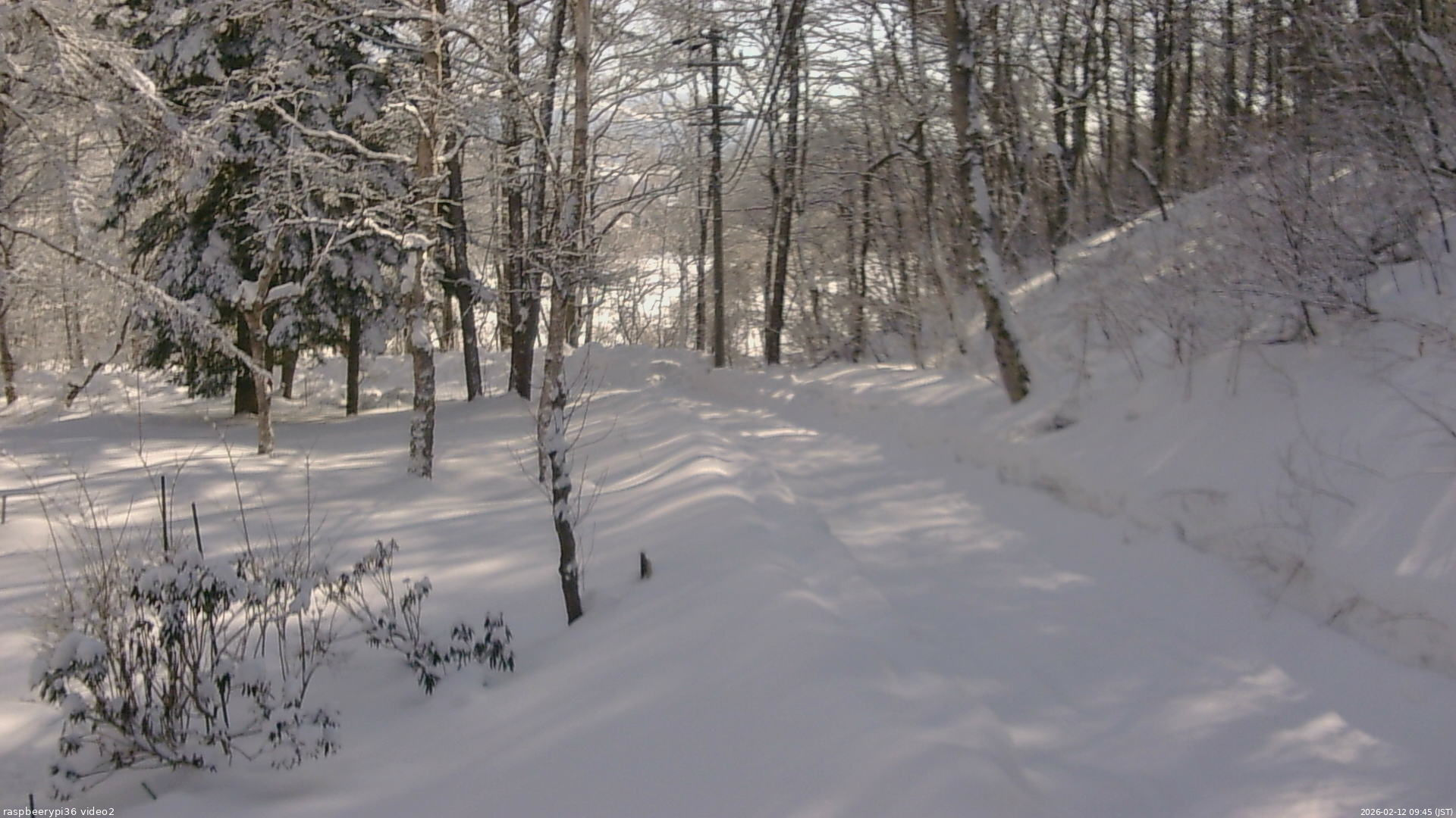 長野県菅平高原 ゆたか山荘 駐車場奥 2026/02/12 09:45