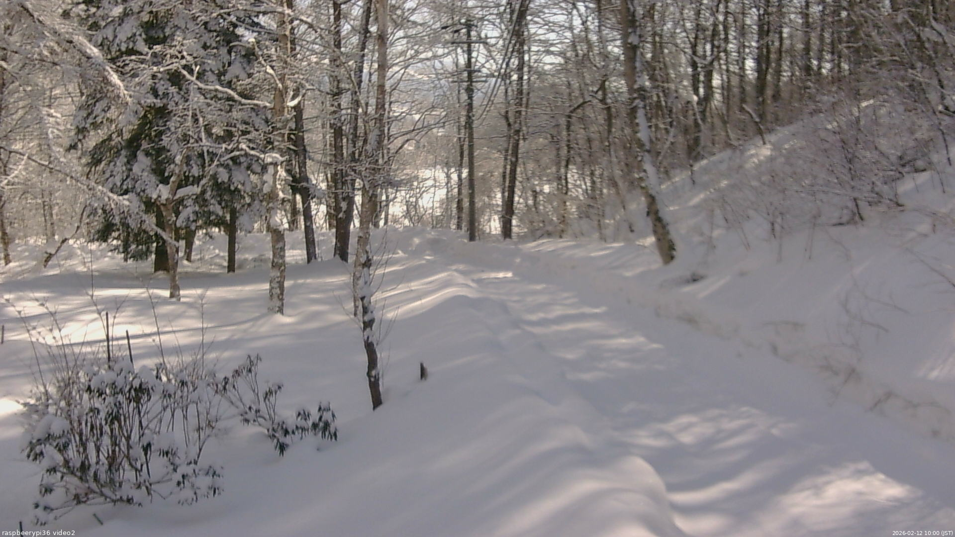 長野県菅平高原 ゆたか山荘 駐車場奥 2026/02/12 10:00