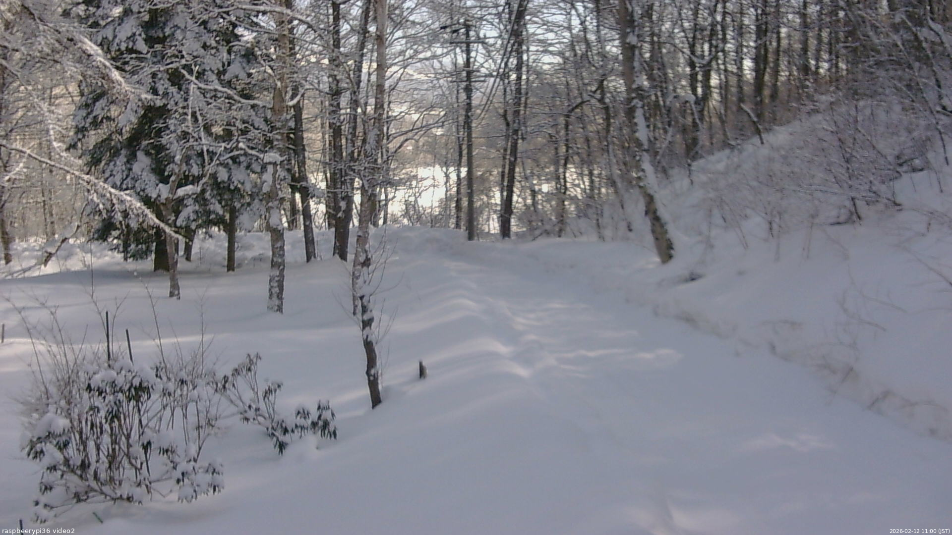 長野県菅平高原 ゆたか山荘 駐車場奥 2026/02/12 11:00
