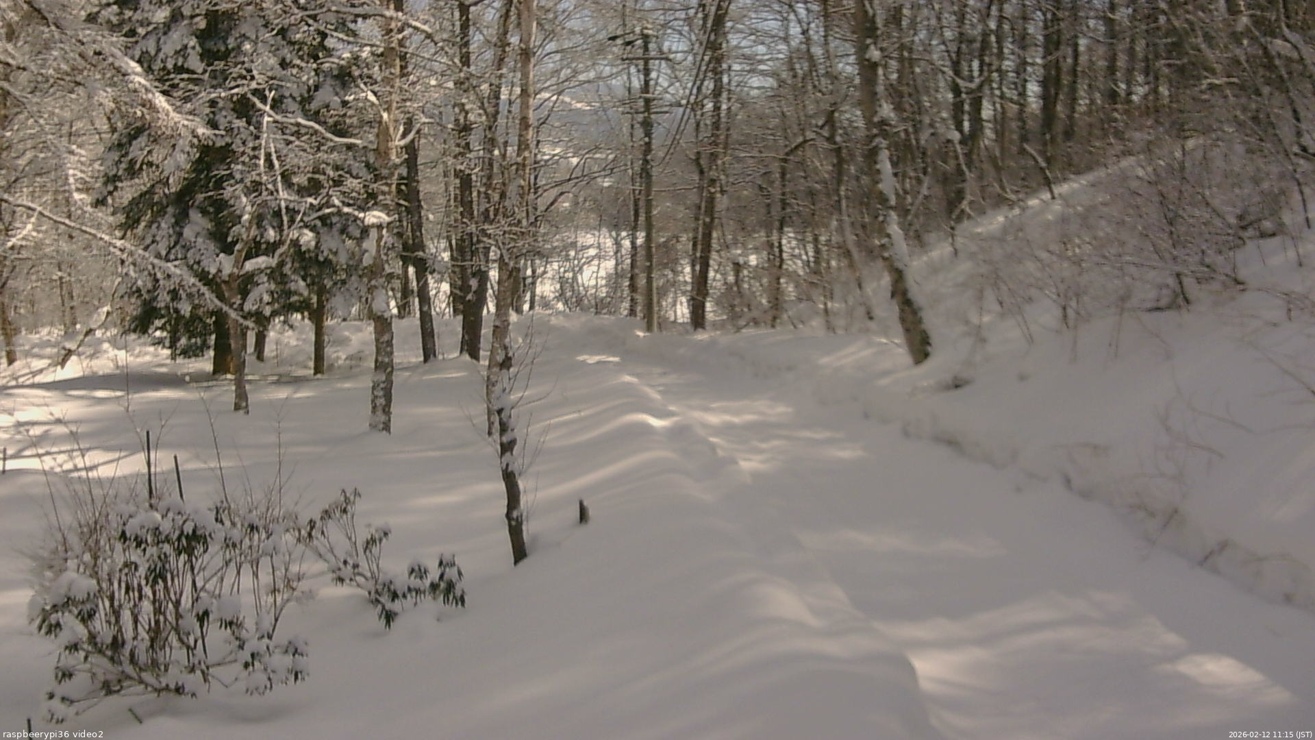 長野県菅平高原 ゆたか山荘 駐車場奥 2026/02/12 11:15