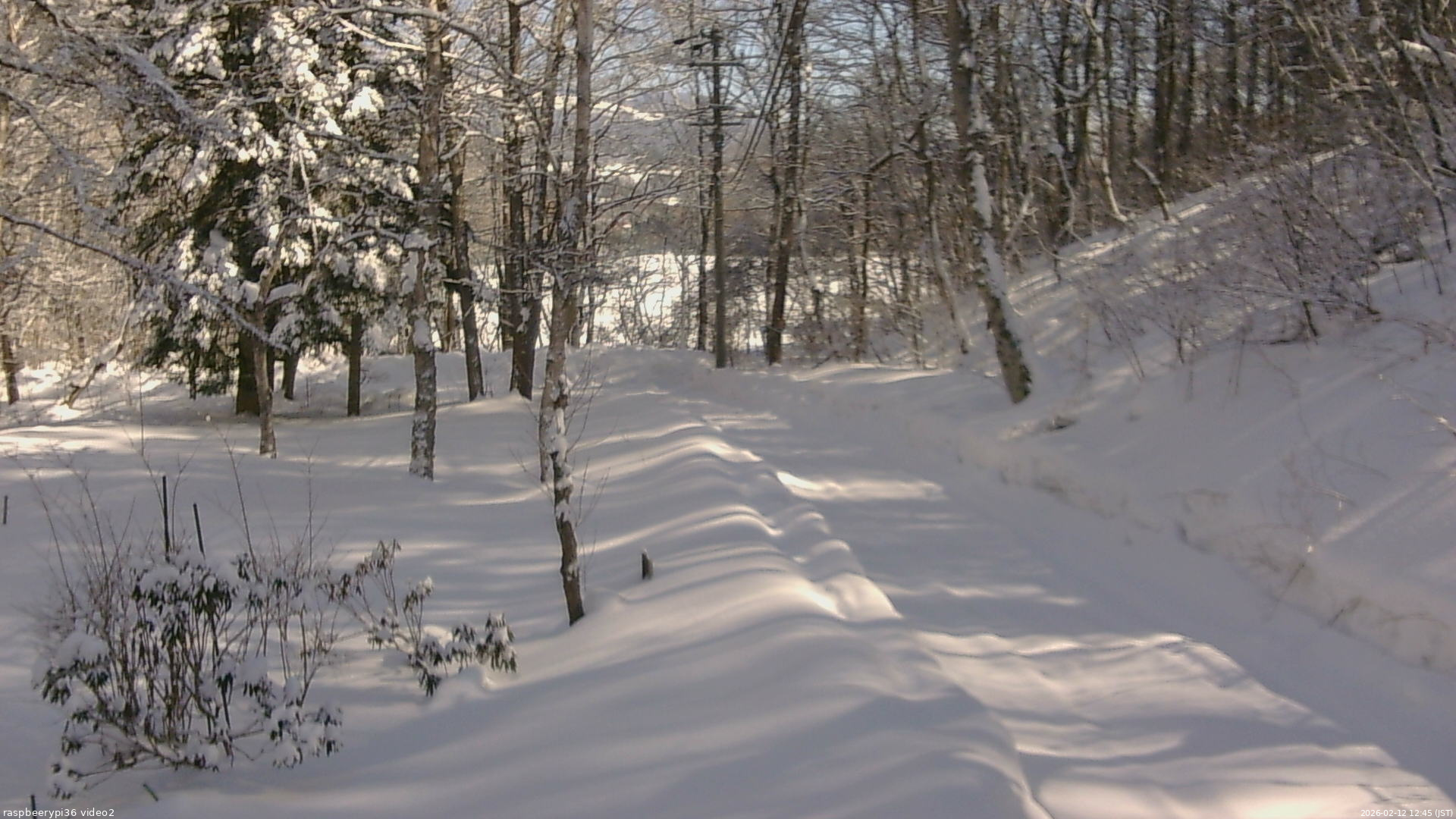 長野県菅平高原 ゆたか山荘 駐車場奥 2026/02/12 12:45