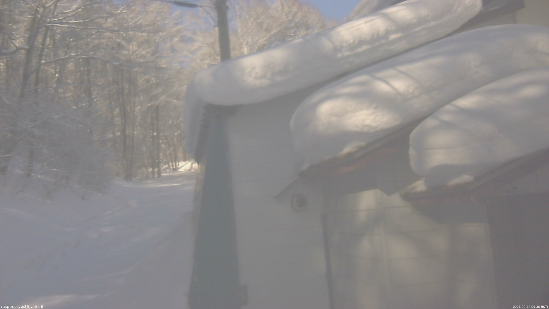 長野県菅平高原 ゆたか山荘 坂下 2026/02/12 09:30
