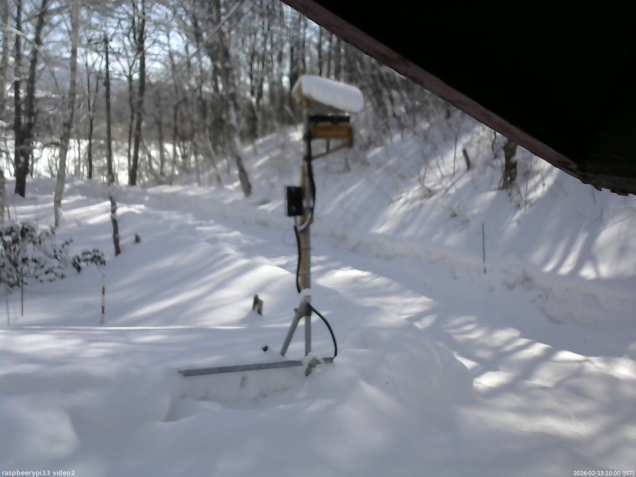 長野県菅平高原 ゆたか山荘 南側 2026/02/13 10:00