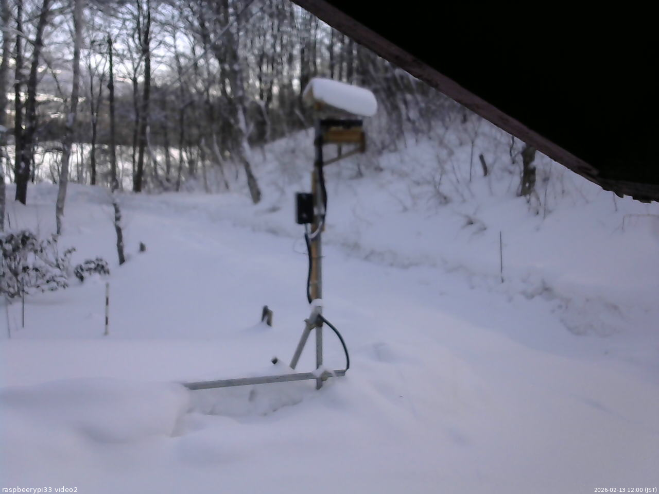長野県菅平高原 ゆたか山荘 南側 2026/02/13 12:00