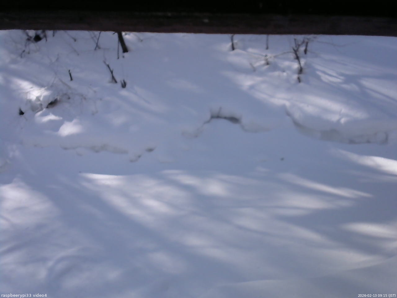 長野県菅平高原 ゆたか山荘 東側(坂下) 2026/02/13 09:15