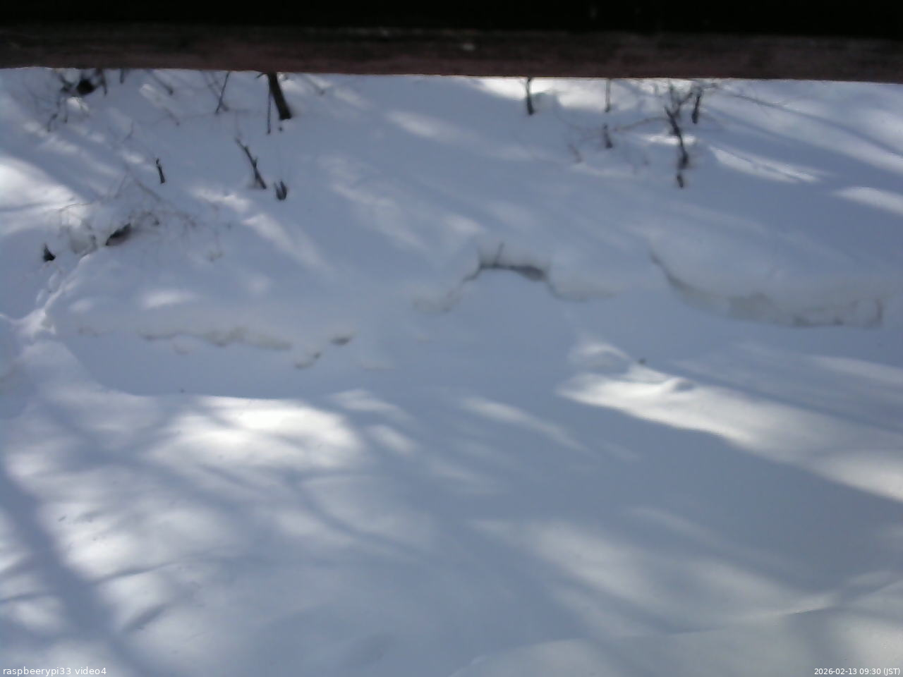 長野県菅平高原 ゆたか山荘 東側(坂下) 2026/02/13 09:30