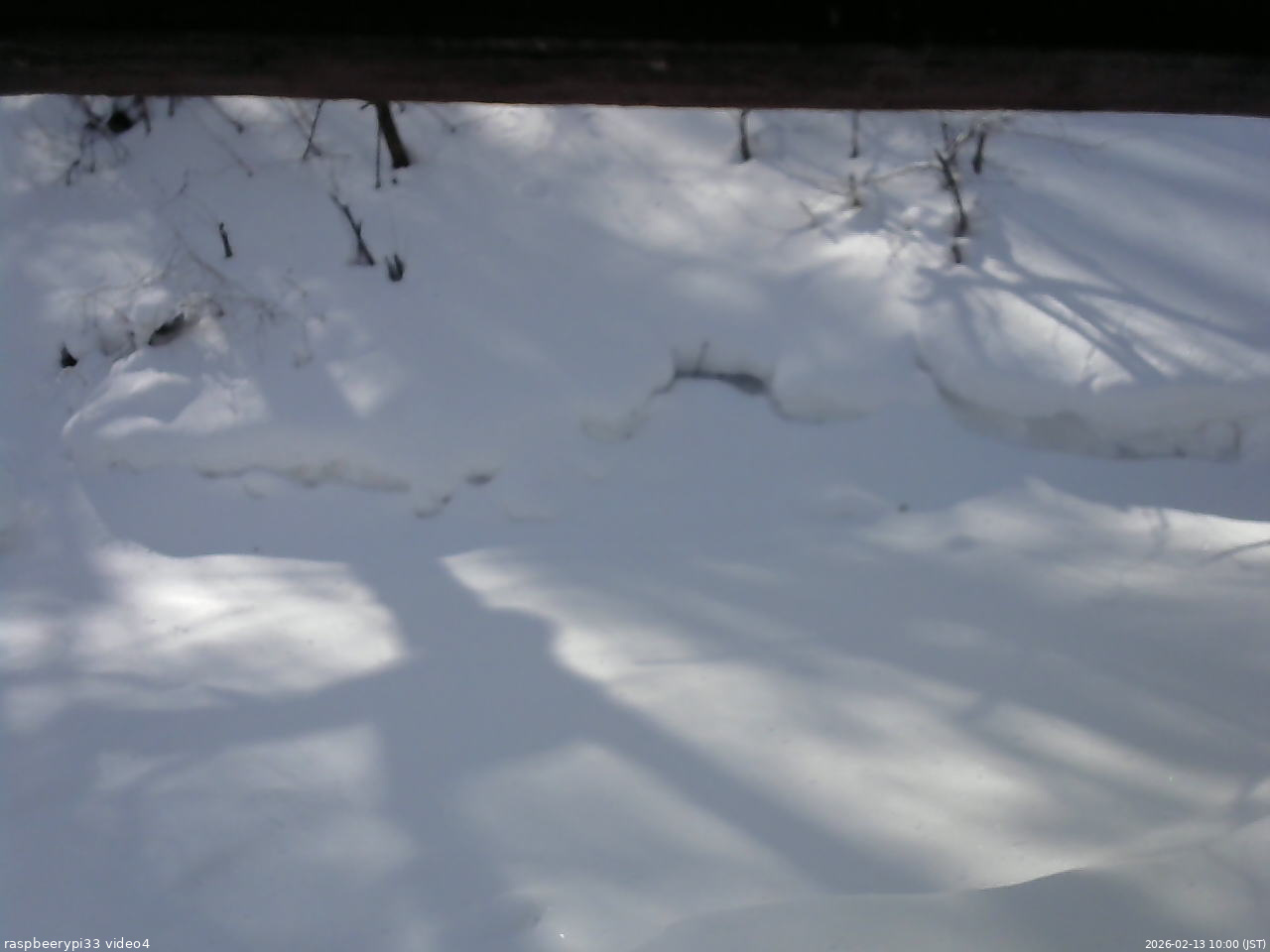 長野県菅平高原 ゆたか山荘 東側(坂下) 2026/02/13 10:00
