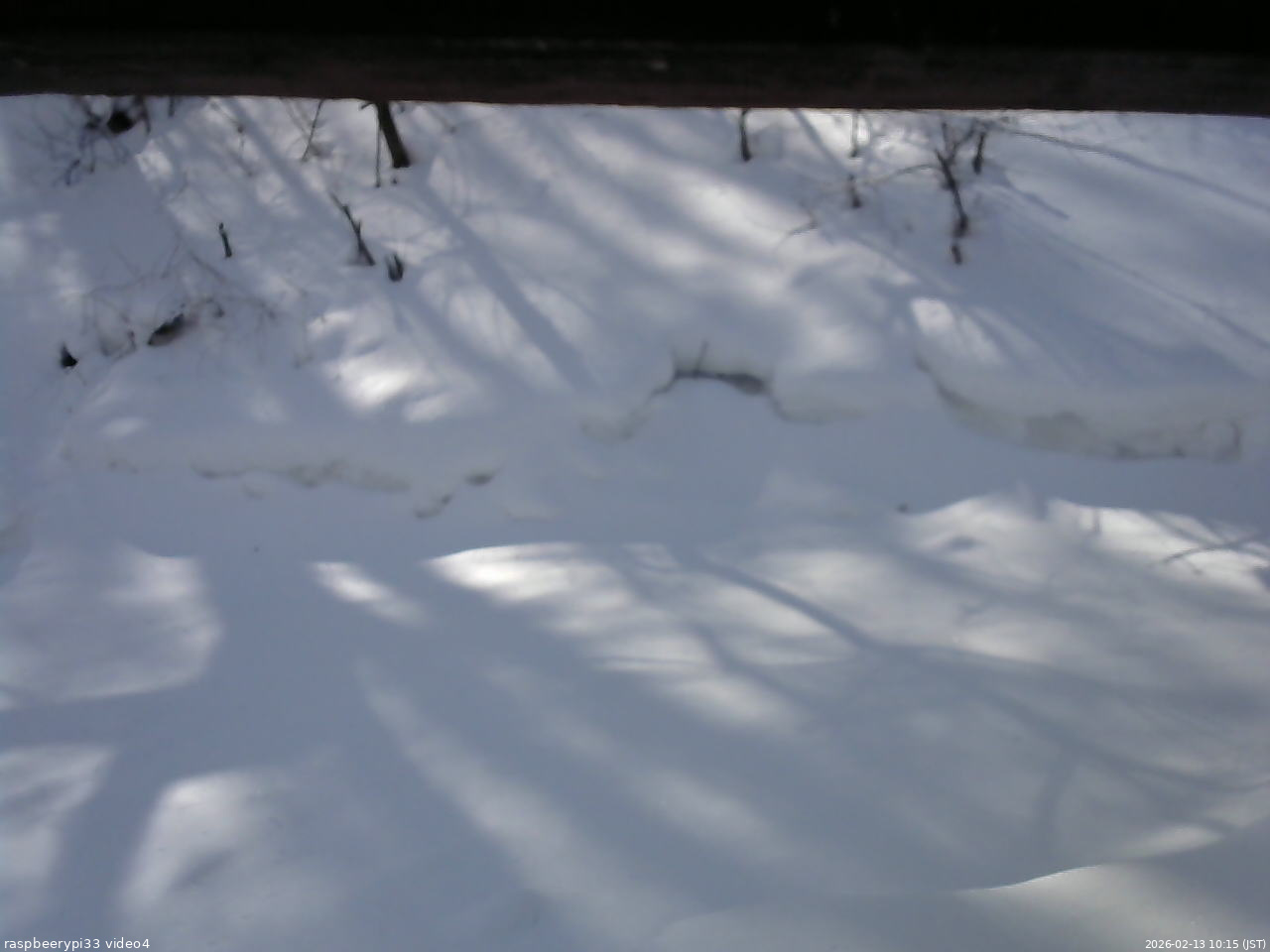 長野県菅平高原 ゆたか山荘 東側(坂下) 2026/02/13 10:15