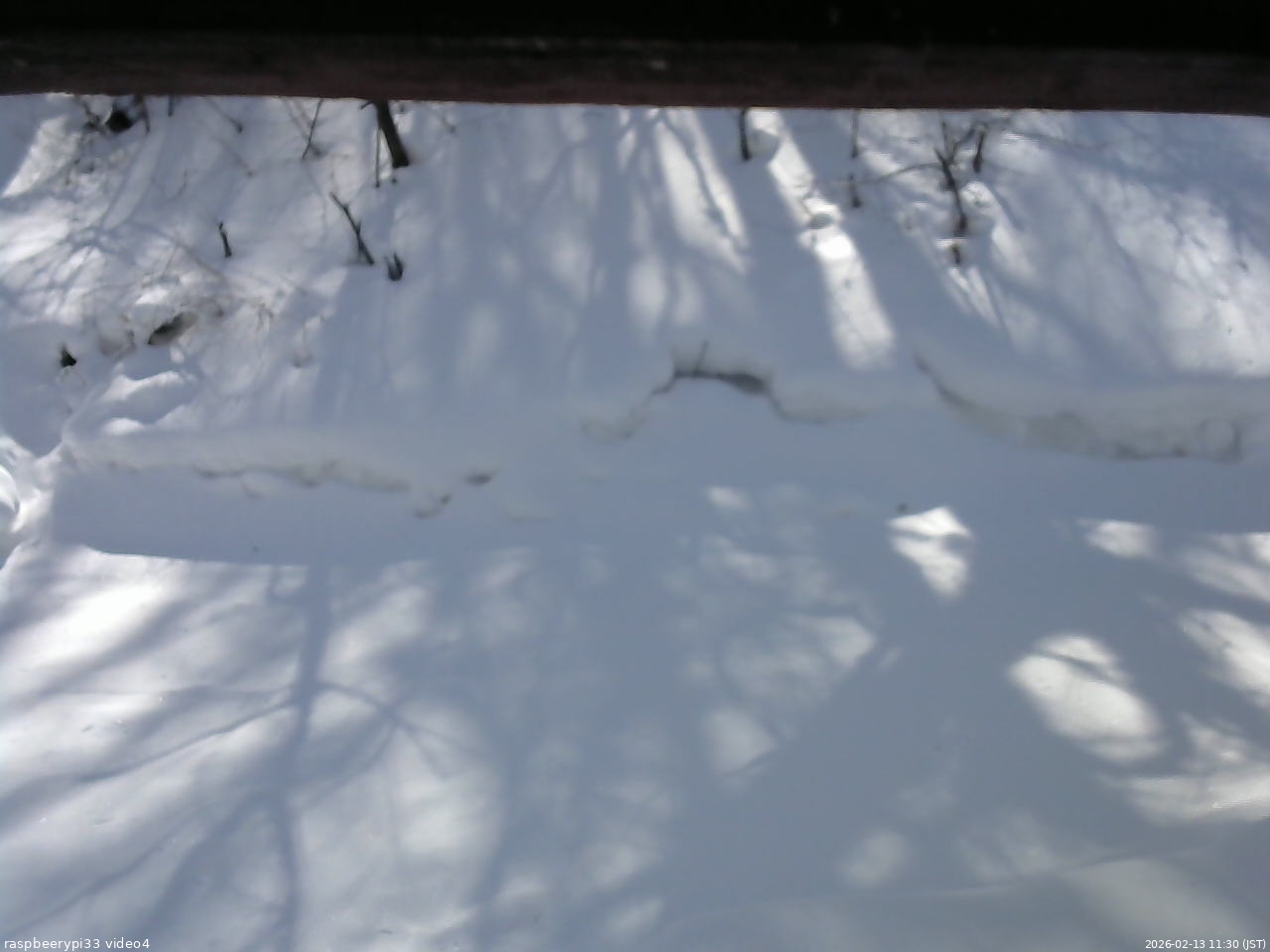 長野県菅平高原 ゆたか山荘 東側(坂下) 2026/02/13 11:30