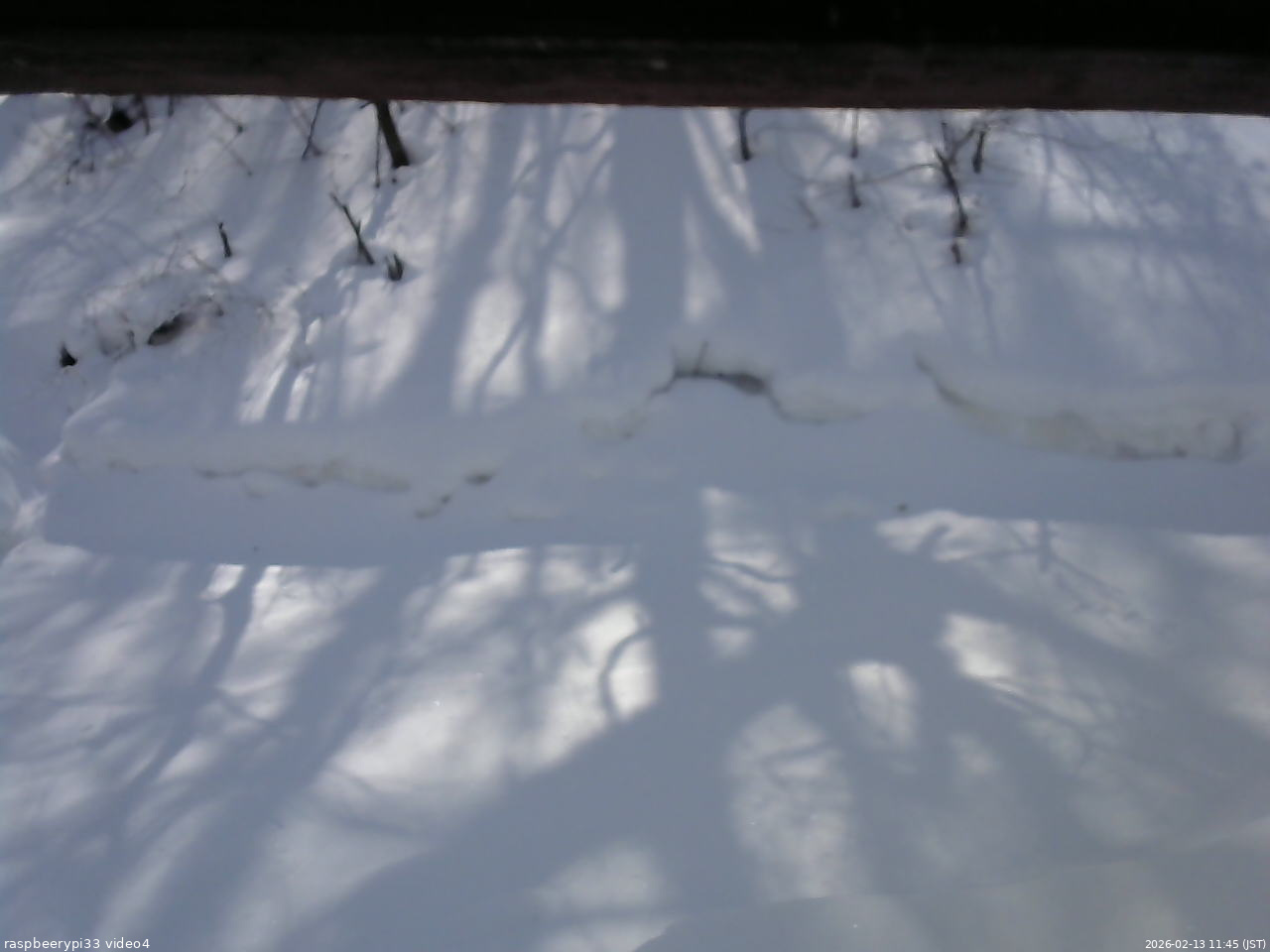 長野県菅平高原 ゆたか山荘 東側(坂下) 2026/02/13 11:45