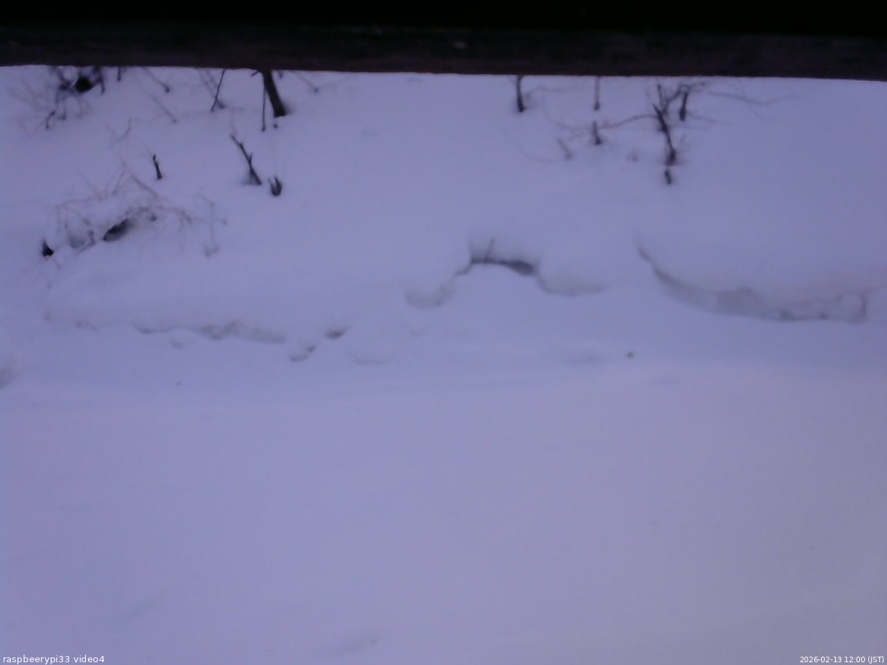 長野県菅平高原 ゆたか山荘 東側(坂下) 2026/02/13 12:00