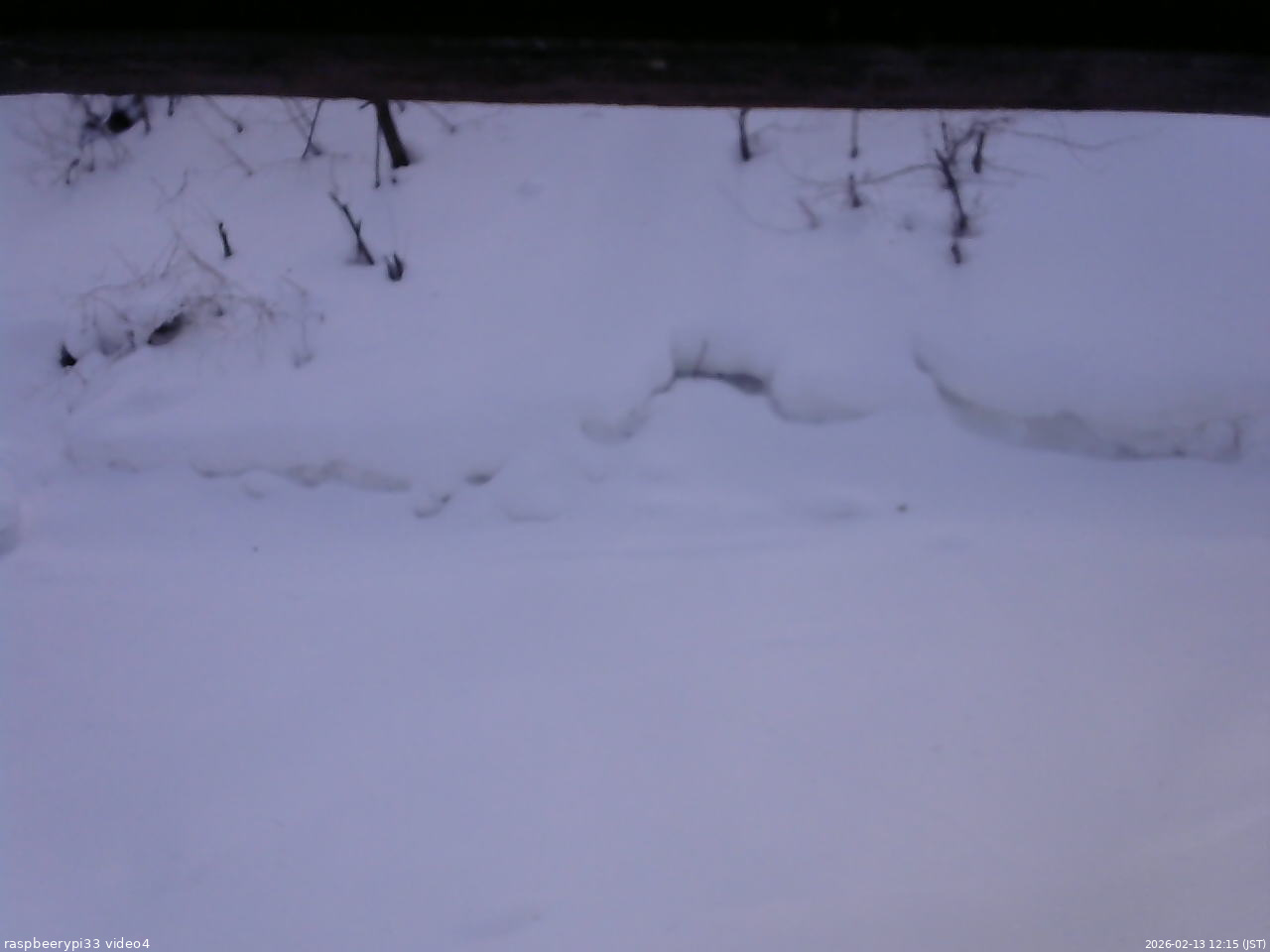 長野県菅平高原 ゆたか山荘 東側(坂下) 2026/02/13 12:15