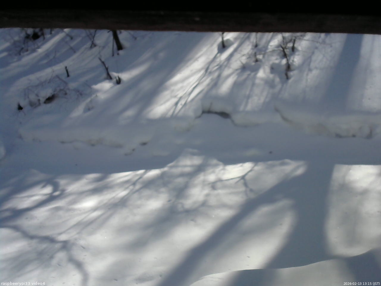 長野県菅平高原 ゆたか山荘 東側(坂下) 2026/02/13 13:15