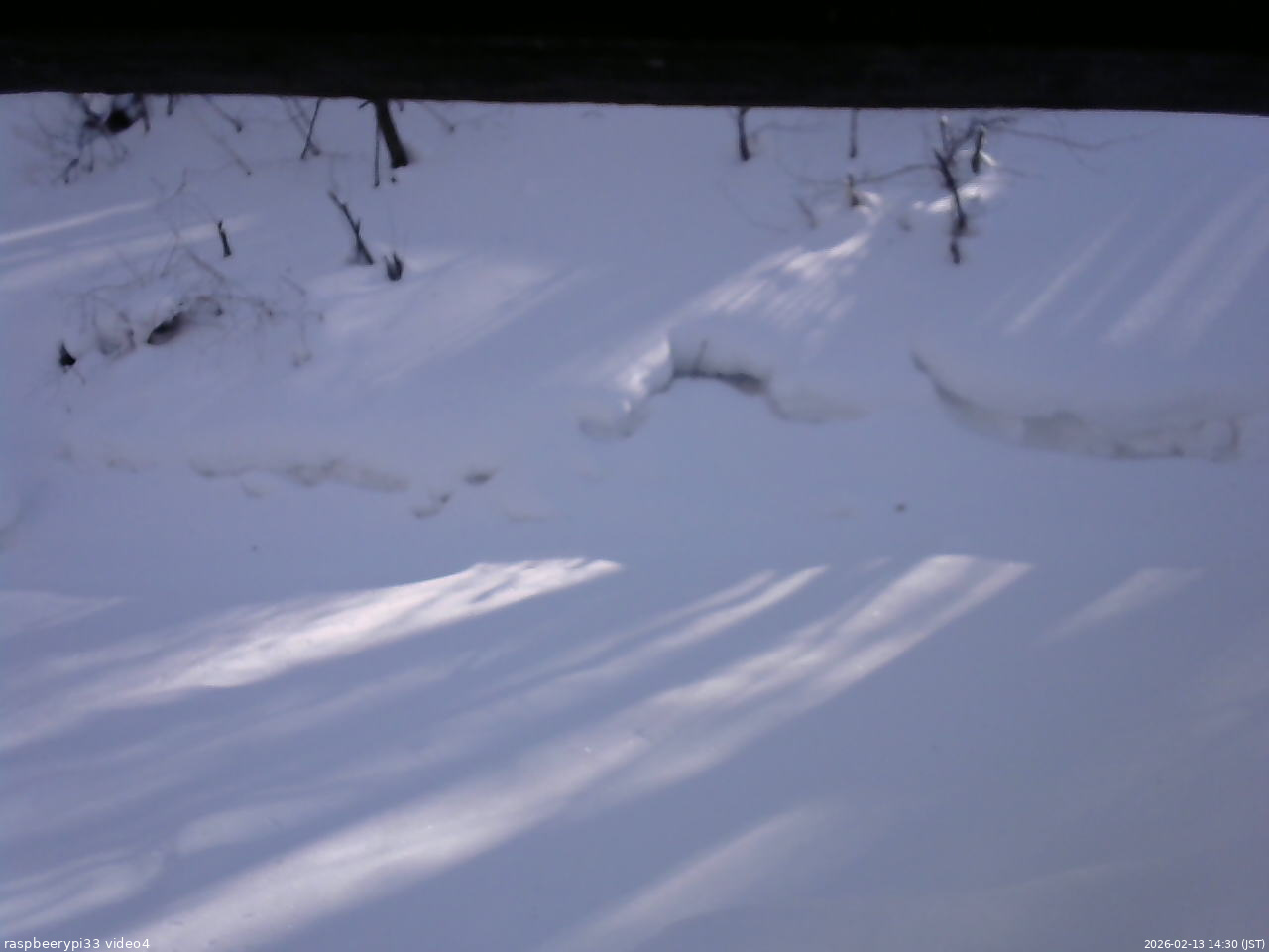 長野県菅平高原 ゆたか山荘 東側(坂下) 2026/02/13 14:30